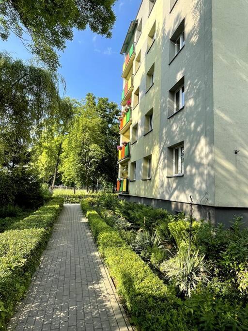 Sunny Apartment In Silesia Czeladz Exterior photo
